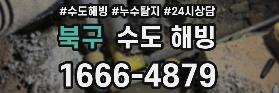 북구 수도 해빙