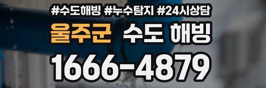 울주군 수도 해빙