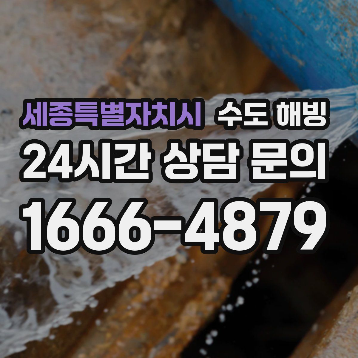 세종특별자치시 수도 해빙