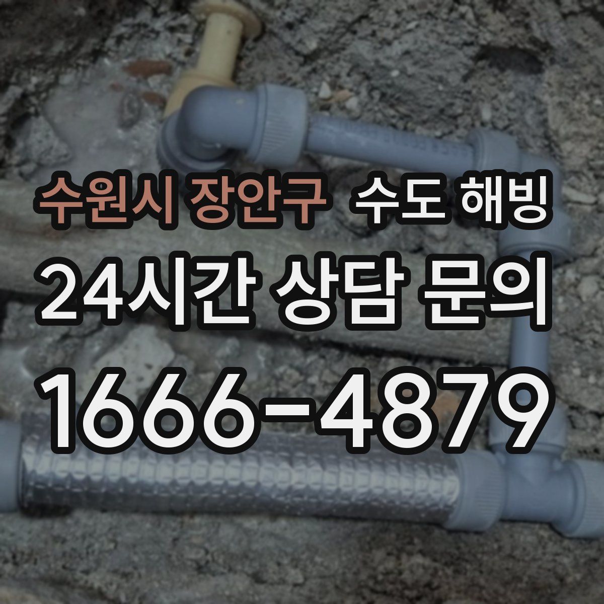 수원시 장안구 수도 해빙