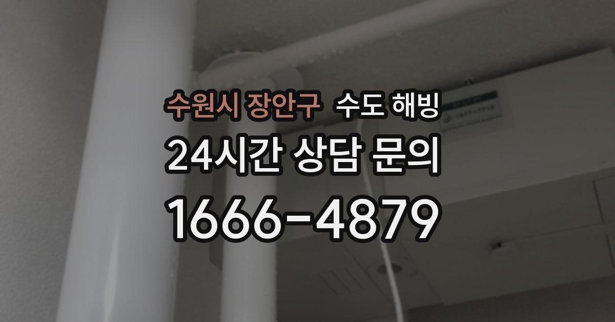 수원시 장안구 수도 해빙