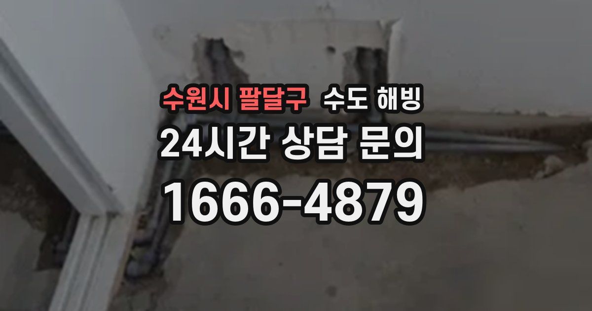 수원시 팔달구 수도 해빙