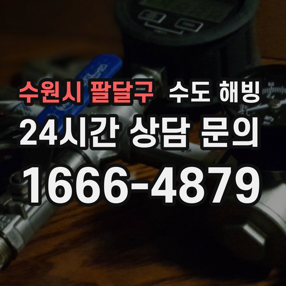 수원시 팔달구 수도 해빙