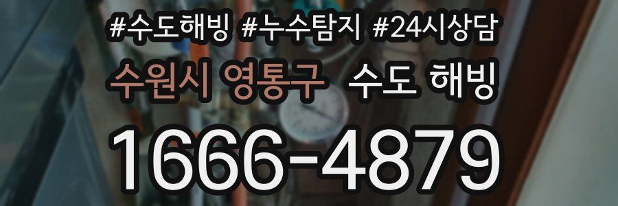 수원시 영통구 수도 해빙