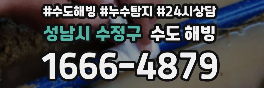 성남시 수정구 수도 해빙