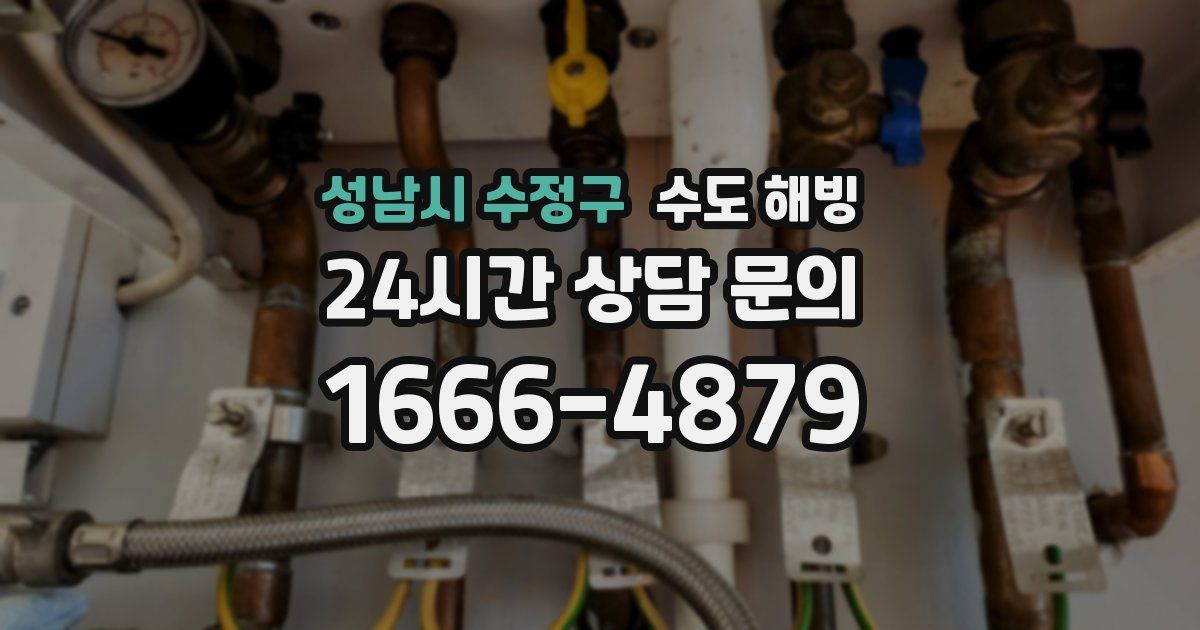 성남시 수정구 수도 해빙