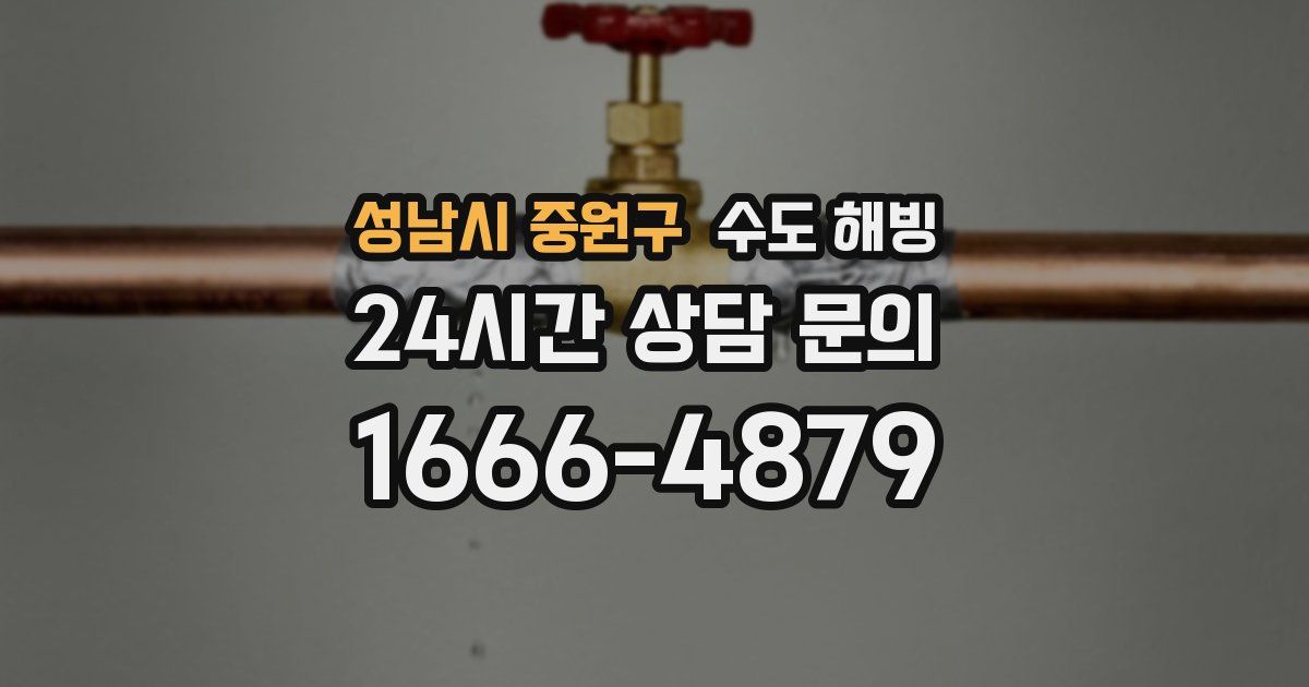 성남시 중원구 수도 해빙