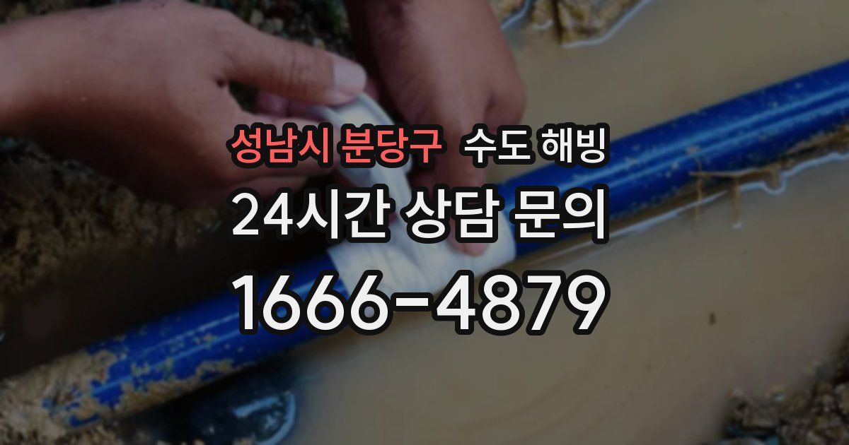 성남시 분당구 수도 해빙
