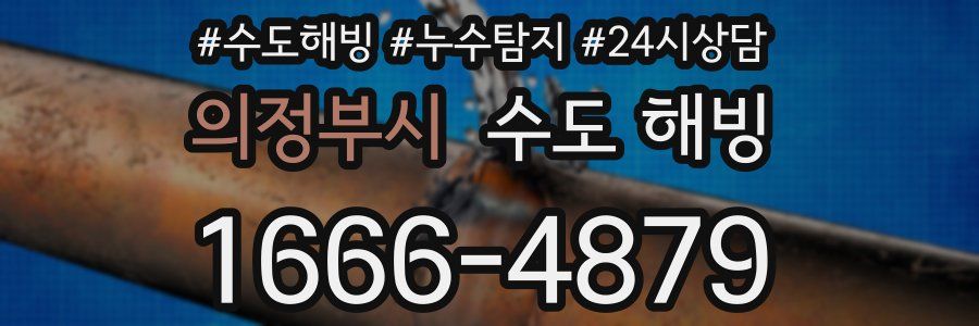 의정부시 수도 해빙