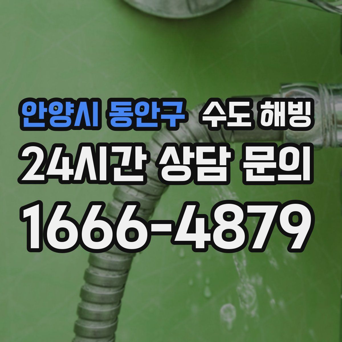 안양시 동안구 수도 해빙