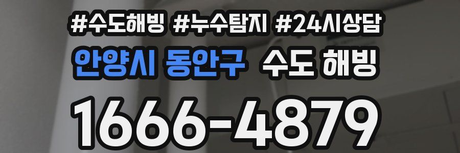 안양시 동안구 수도 해빙
