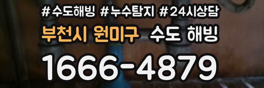 부천시 원미구 수도 해빙