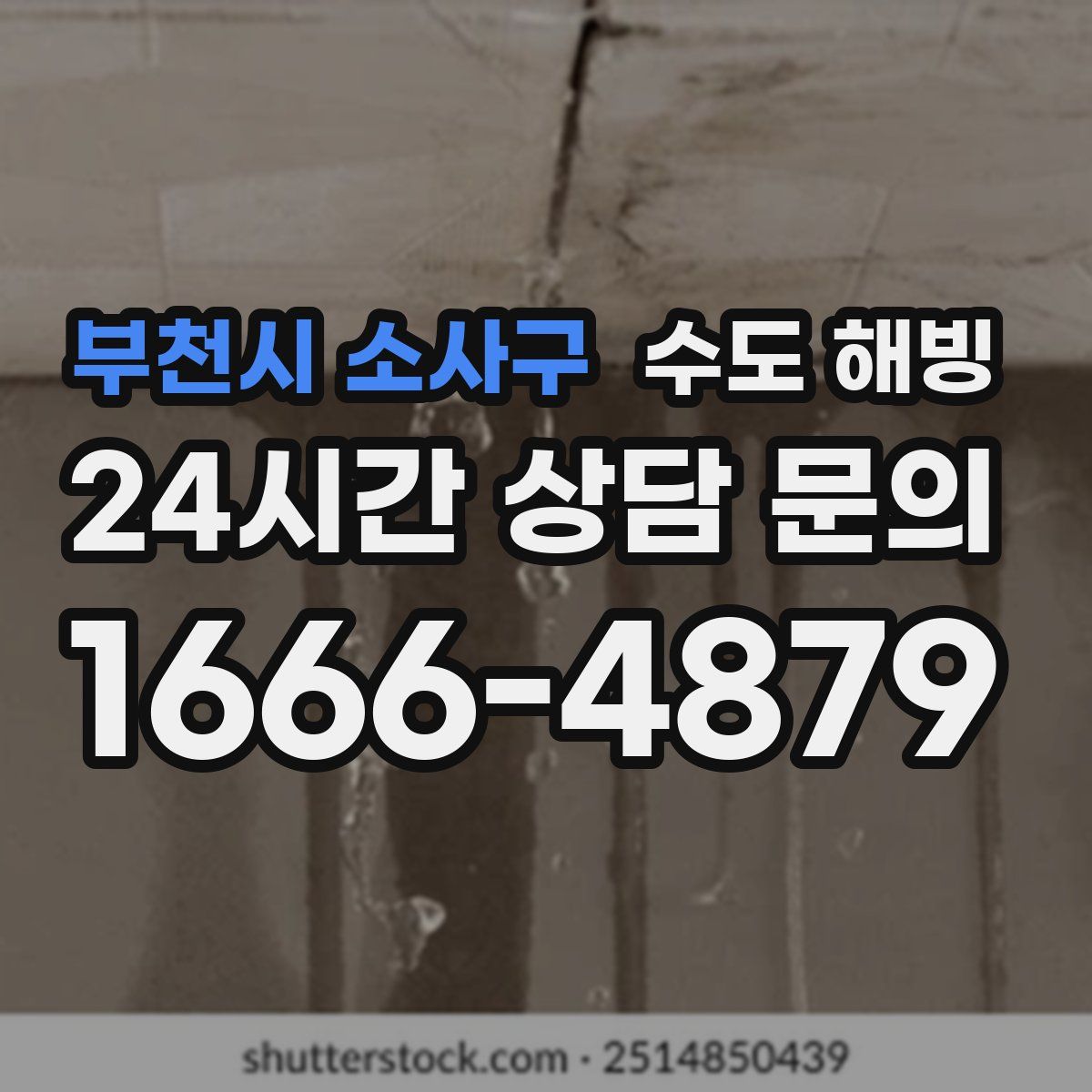 부천시 소사구 수도 해빙