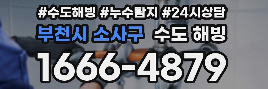 부천시 소사구 수도 해빙