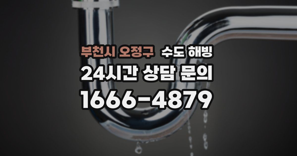 부천시 오정구 수도 해빙