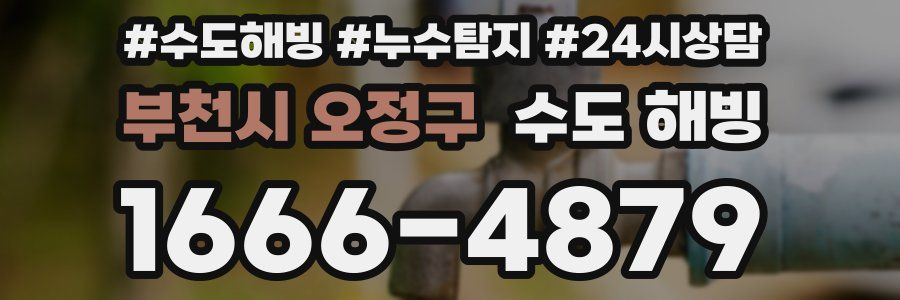 부천시 오정구 수도 해빙