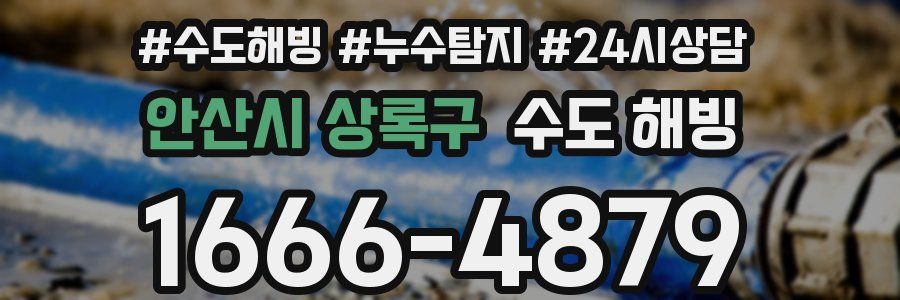 안산시 상록구 수도 해빙