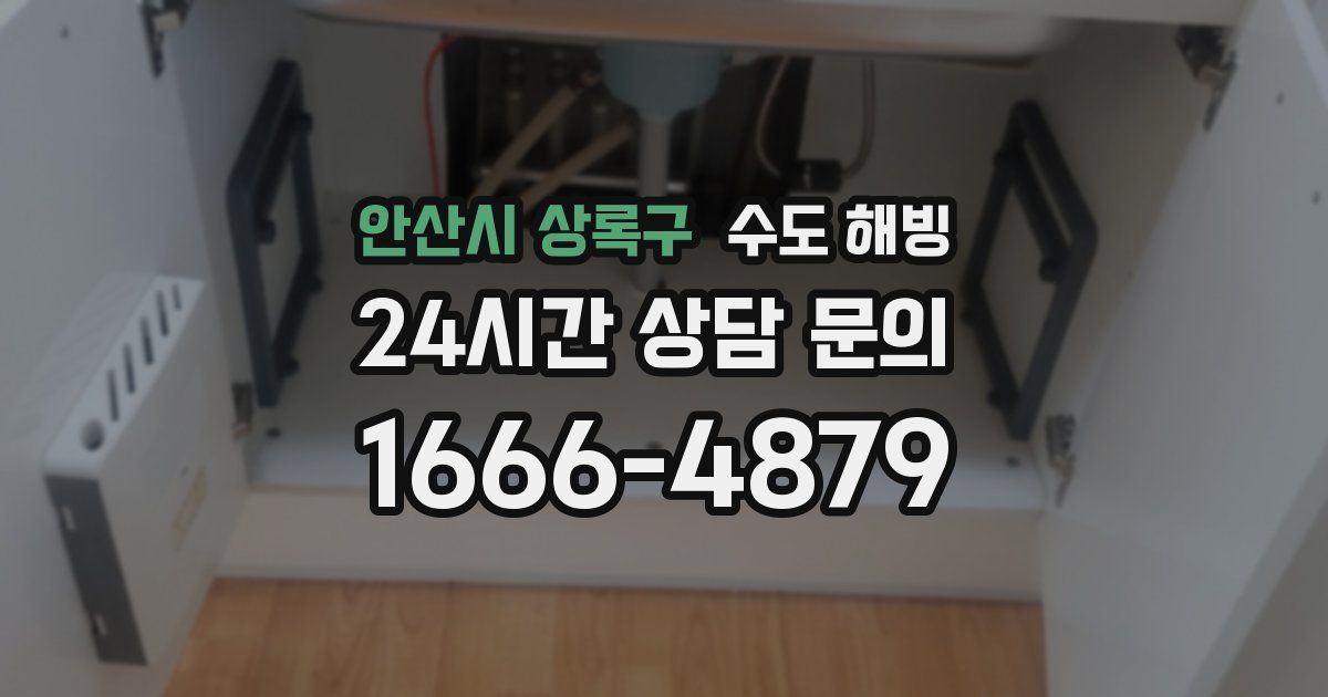 안산시 상록구 수도 해빙