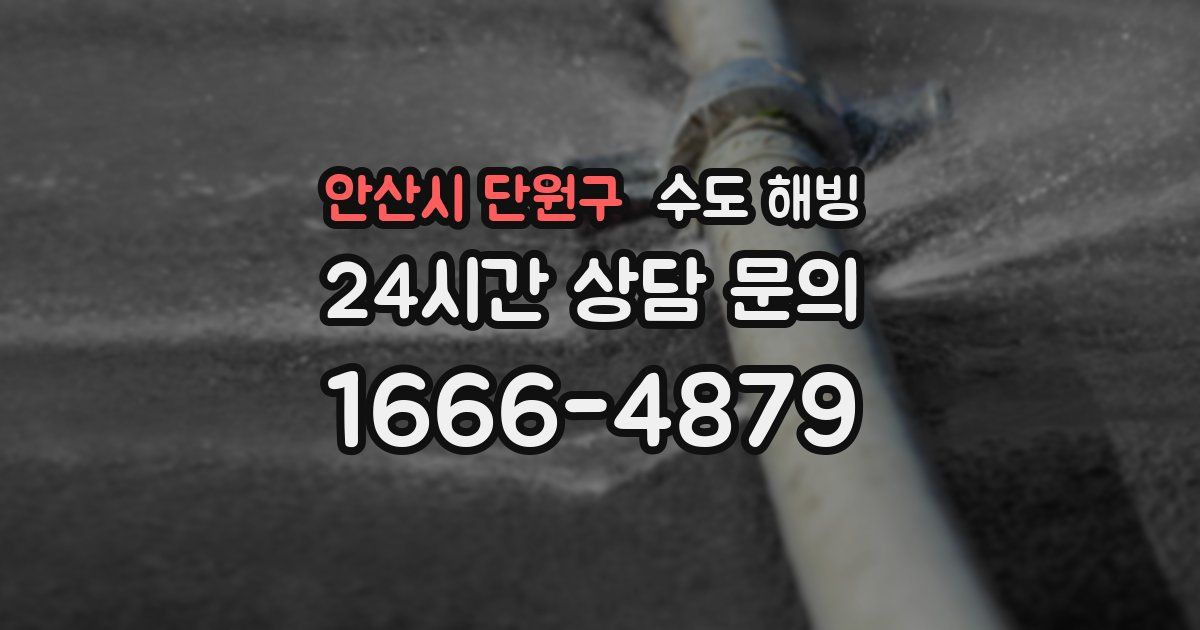 안산시 단원구 수도 해빙