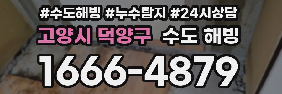 고양시 덕양구 수도 해빙