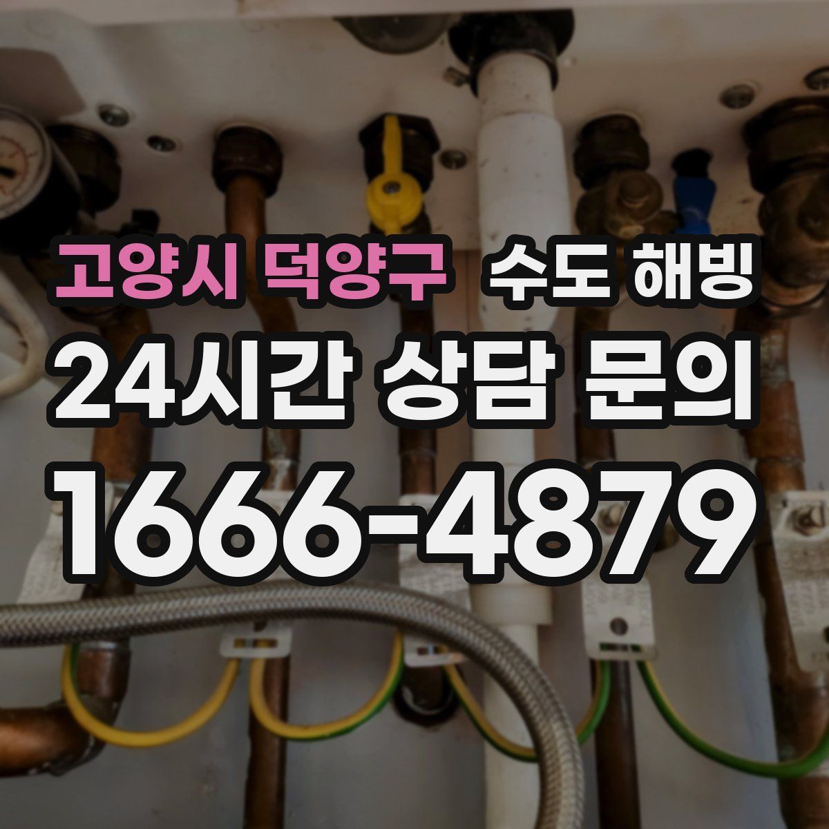 고양시 덕양구 수도 해빙