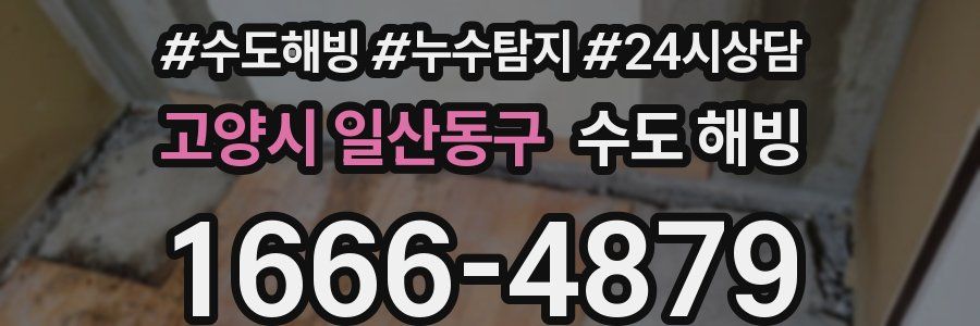 고양시 일산동구 수도 해빙