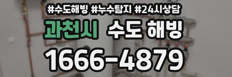 과천시 수도 해빙