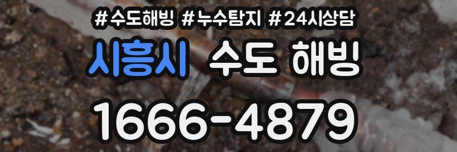 시흥시 수도 해빙