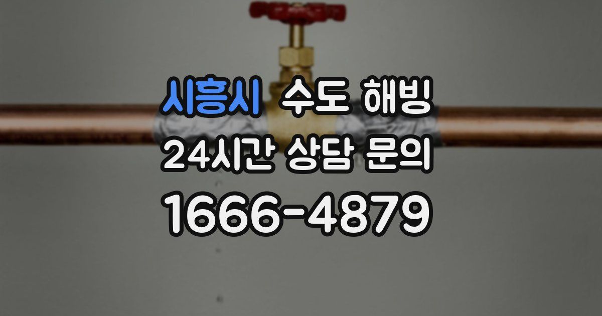 시흥시 수도 해빙