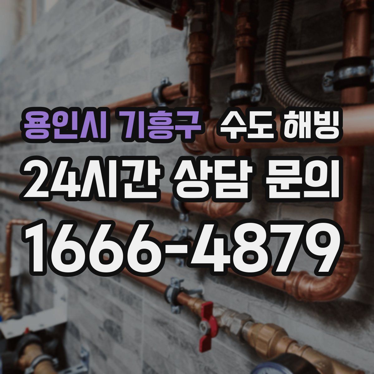 용인시 기흥구 수도 해빙