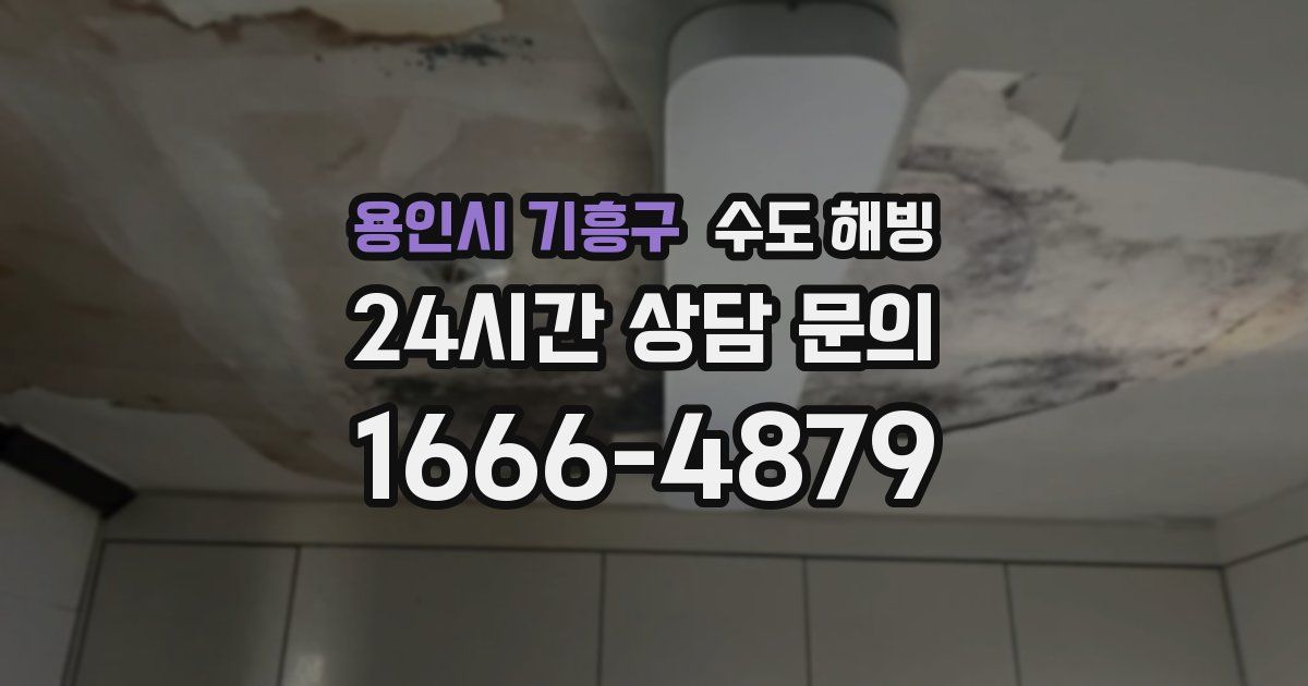 용인시 기흥구 수도 해빙