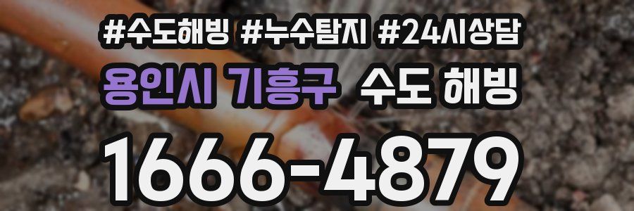 용인시 기흥구 수도 해빙