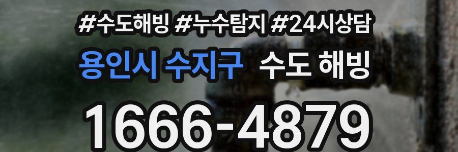 용인시 수지구 수도 해빙