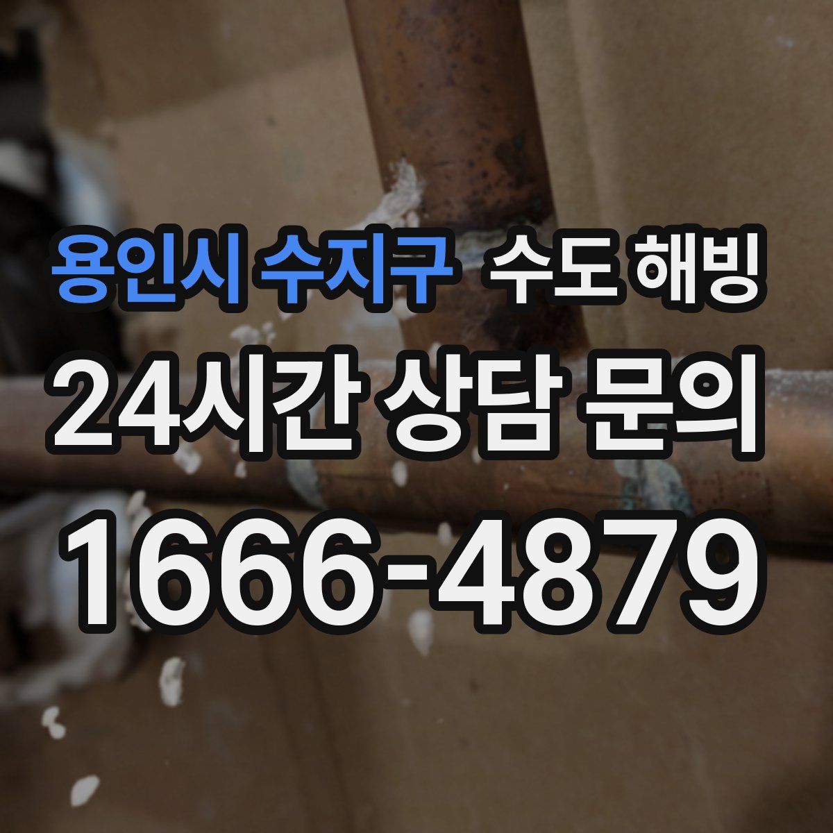 용인시 수지구 수도 해빙