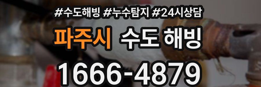 파주시 수도 해빙