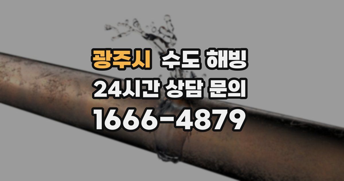 광주시 수도 해빙