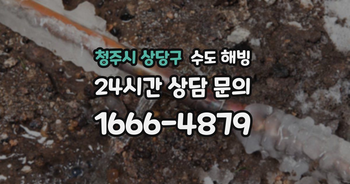 청주시 상당구 수도 해빙
