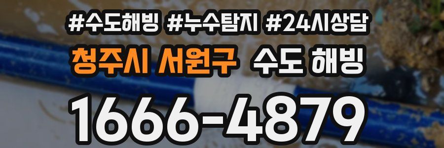 청주시 서원구 수도 해빙