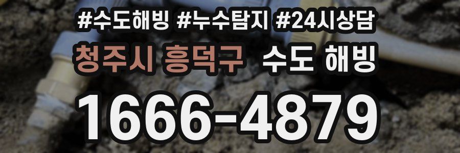 청주시 흥덕구 수도 해빙