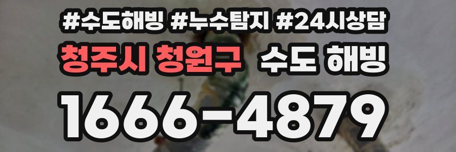 청주시 청원구 수도 해빙