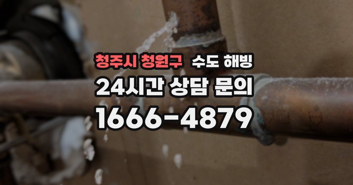 청주시 청원구 수도 해빙