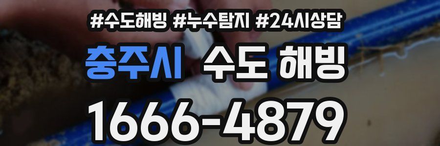 충주시 수도 해빙