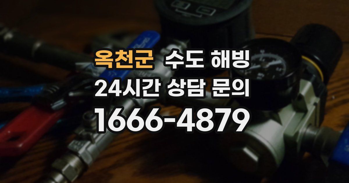 옥천군 수도 해빙