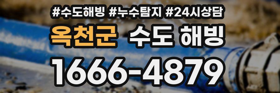 옥천군 수도 해빙