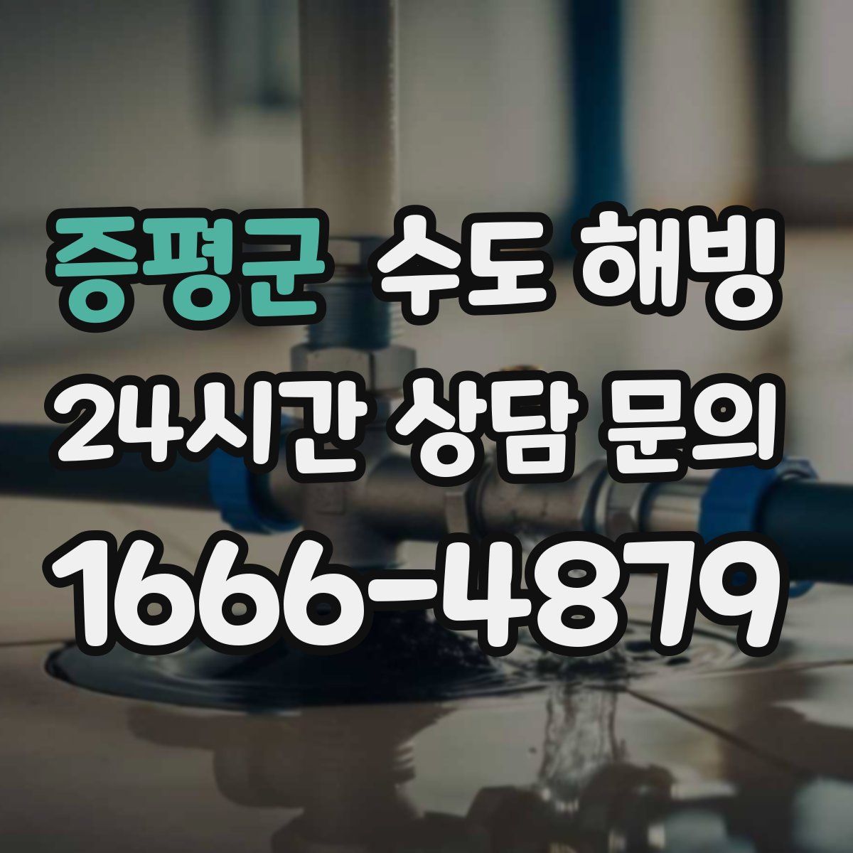 증평군 수도 해빙