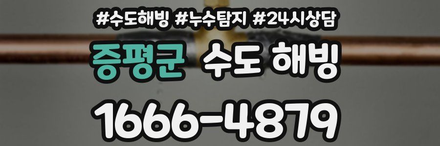 증평군 수도 해빙