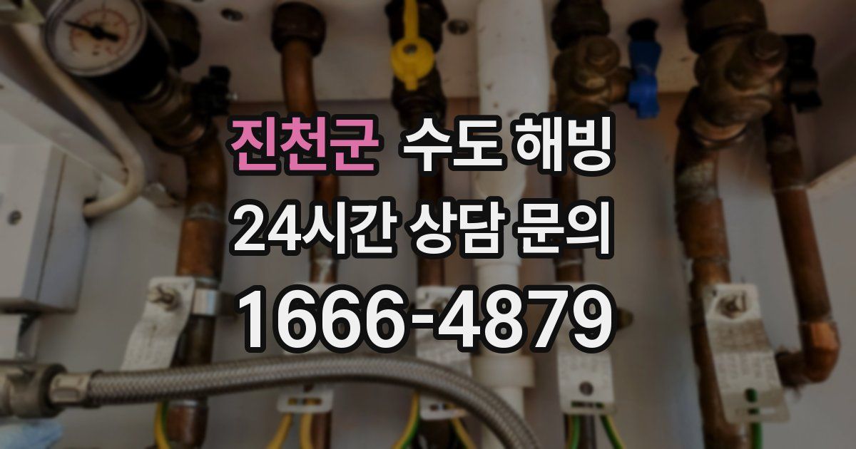 진천군 수도 해빙