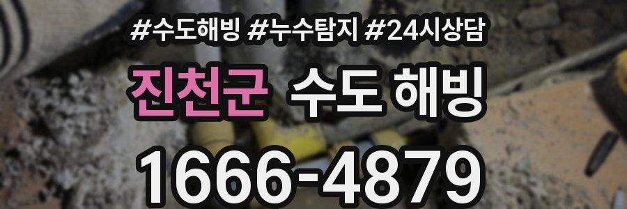 진천군 수도 해빙