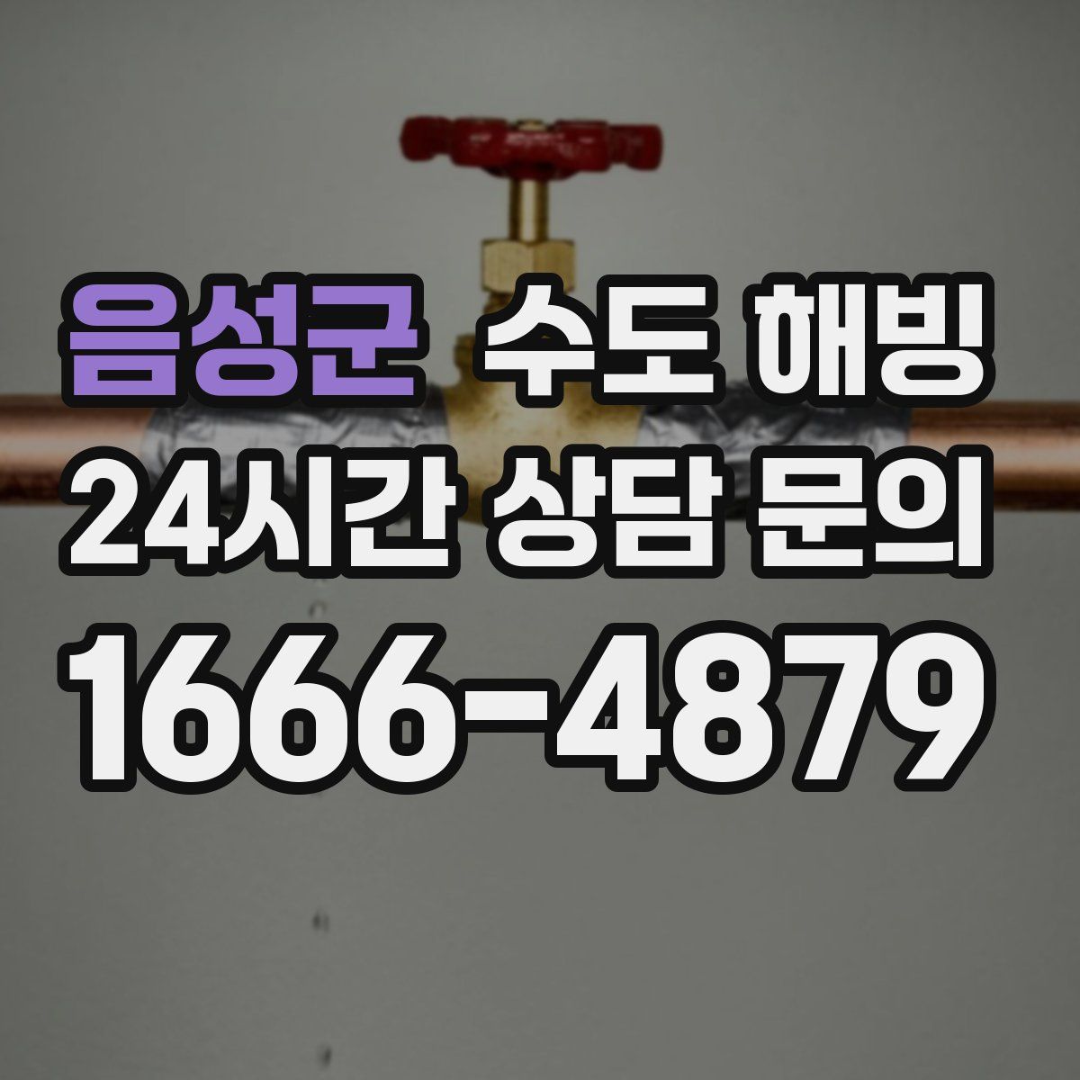 음성군 수도 해빙