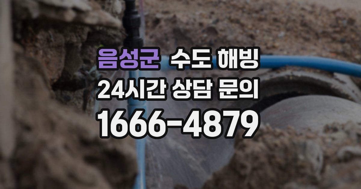 음성군 수도 해빙